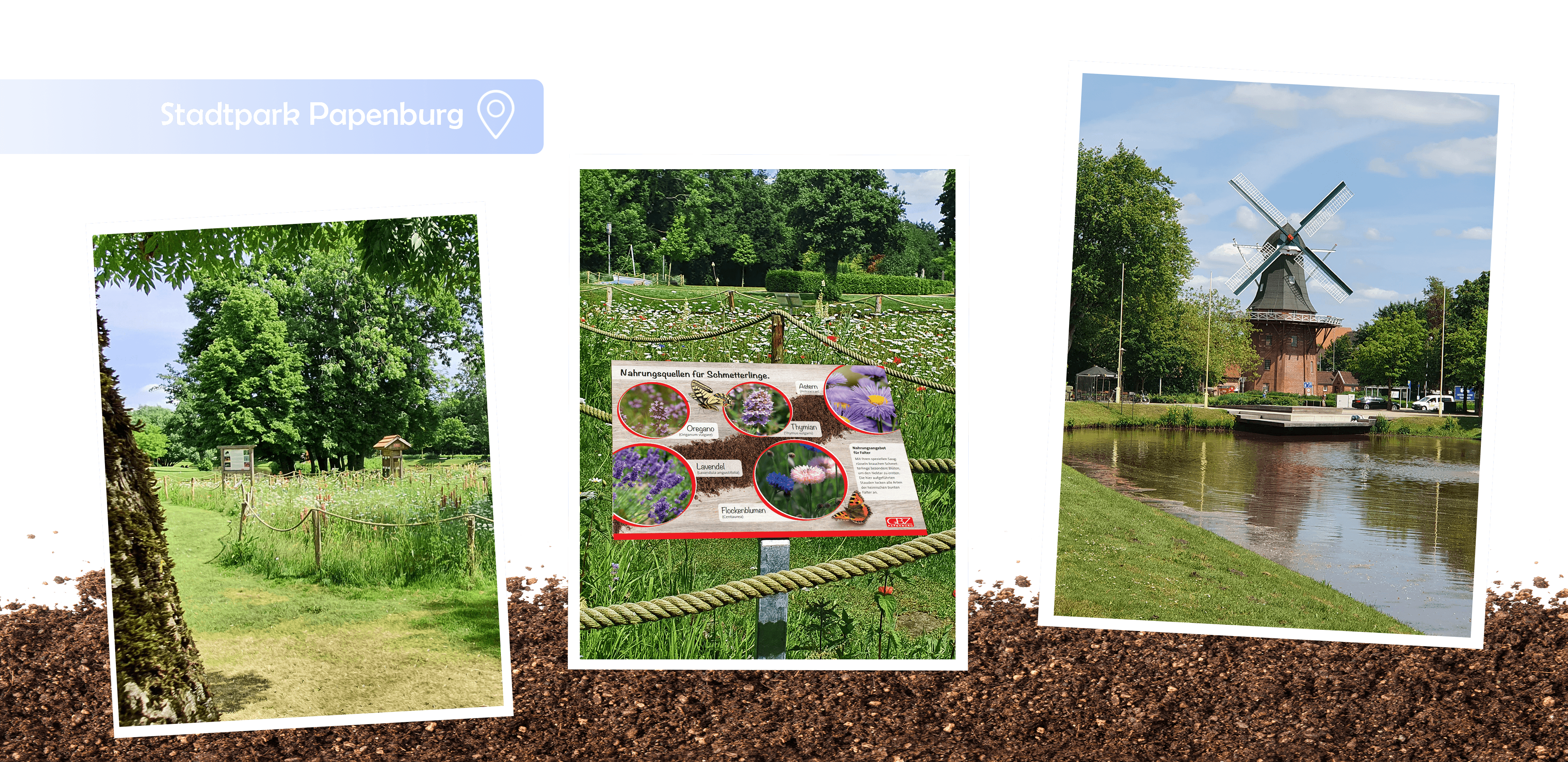Stadtpark Papenburg, Insektenhotel, Bienenfreundlich, Wildblumenwiese, Blühwiese, Gartenbauzentrale, Papenburg, insektenfreundlich, Insektenhotel, GBZ, Umwelt, Naturschutz, Engagement
